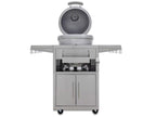 Blaze 20-Inch Cast Aluminum Freestanding Kamado Charcoal Grill