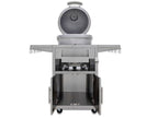 Blaze 20-Inch Cast Aluminum Freestanding Kamado Charcoal Grill